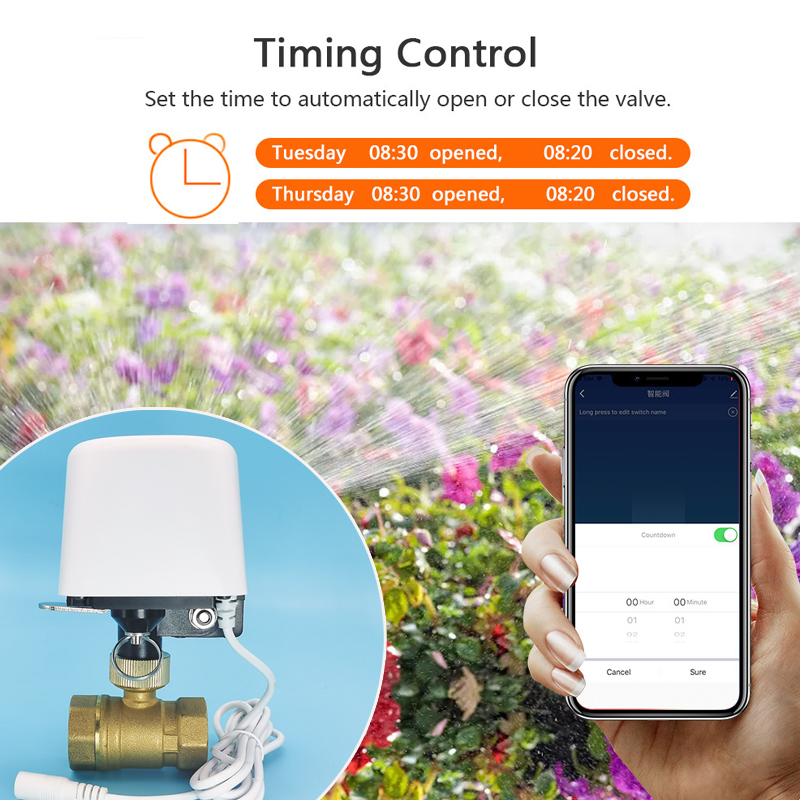 1/2インチ 3/4インチ 1インチ DN32 Tuya Z - Smart Garden Accessories のレビューと価格