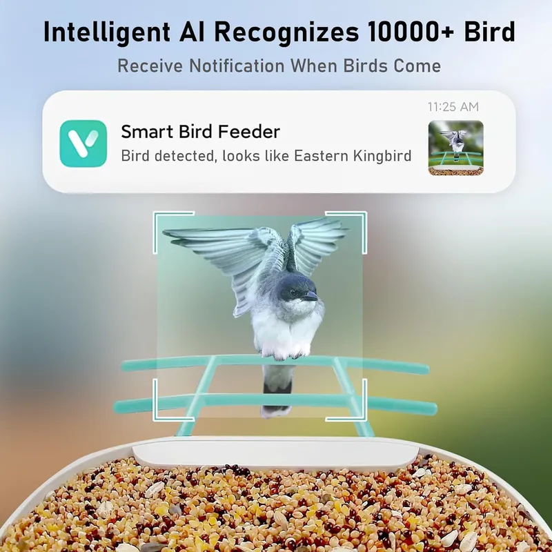 AI認識機能付きスマートバードフィーダーカメラ HDビデオ  - Smart Garden Video のレビューと価格