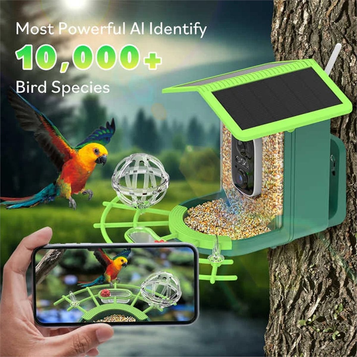 ABPPスマートバードフィーダーカメラ（AI種識別機能搭載、 - Smart Garden Video のレビューと価格